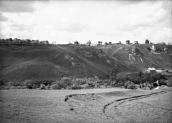 1938 р. Панорама села Кривче з церквою…