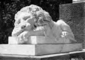 [1913 р.] Скульптура лева