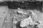 Розкопки шару жертовника із кістками…