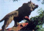 Скульптура лева на терасі
