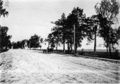 1909 р. Дорога Ігнатпіль – Овруч