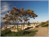 2008 р. Вид на море