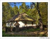 2008 р. Загальний вигляд