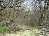 Краєвид біля монастиря