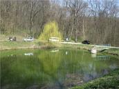 Став біля монастиря