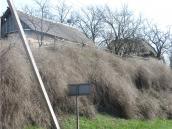 2009 р. Селянська садиба