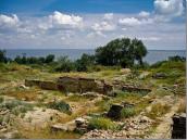 2010 р. Розкоп