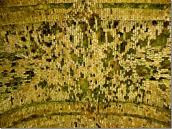 2010 р. Інтер’єр склепіння