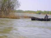 Краєвид біля містечка