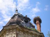 На димарі поселились лелеки