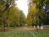 Головна алея парку