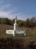 [2003..2006 р.] Загальний вигляд з…