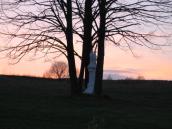 [2003..2006 р.] Загальний вигляд з…