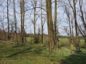 [2003..2006 р.] Загальний вигляд