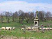 [2003..2006 р.] Загальний вигляд з…