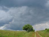 [2003..2006 р.] Краєвид