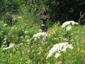 [2003..2006 р.] Загальний вигляд з…