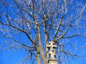 [2003..2006 р.] Каплиця при дорозі до…