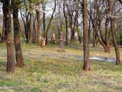 [2003..2006 р.] Загальний вигляд