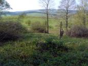 Старий цвинтар