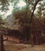 1986 р. Загальний вигляд