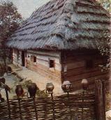 1986 р. Загальний вигляд