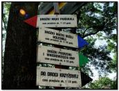 Вказівники шляхів