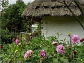 Фрагмент обійстя і рубленої хати