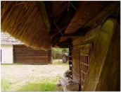 Навіс стріхи