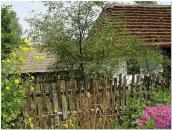 Фрагмент обійстя