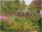 Фрагмент обійстя