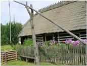 Фрагмент обійстя з колодязем-журавлем