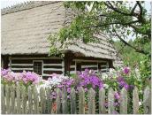 Фрагмент обійстя