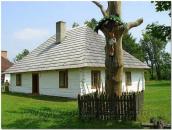 Хата і дерево з розп’яттям