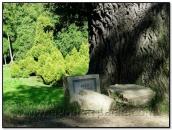 Зруйнований надгробок