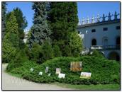 Фрагмент фасаду