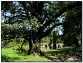 Алея з видом на міст