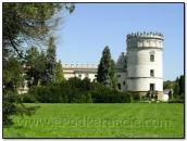 Фрагмент фасаду