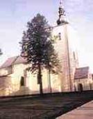 Костел Вознесіння діви Марії