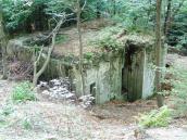 [2006 р.] Дот “лінії Молотова”