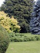 [2006 р.] У парку