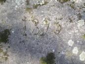 [2006 р.] Фрагмент з датою 1895 р.