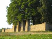 Воєнний цвинтар № 79