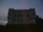 [2006 р.] Вид на тлі нічного неба