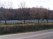 2006 р. Пам’ятник боя під Бродами…