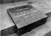 Нагробок Сербіна В.М. Фото 1974