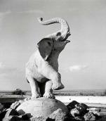 Фонтан «Слон»