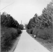 Алея, що веде до обеліску Слави.…