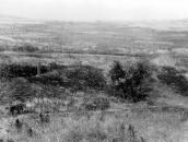 Загальний вид