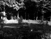 Фрагмент валу